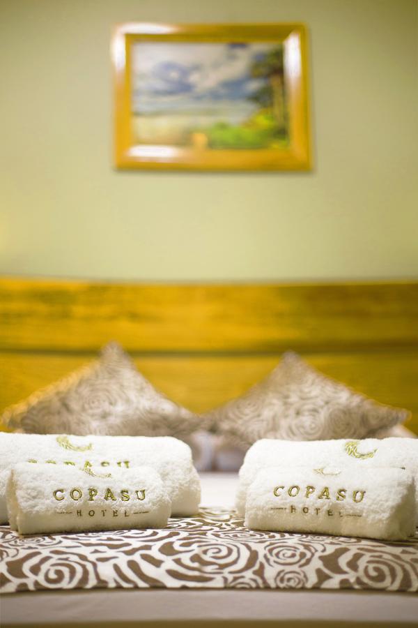 Hotel Copasu 3*