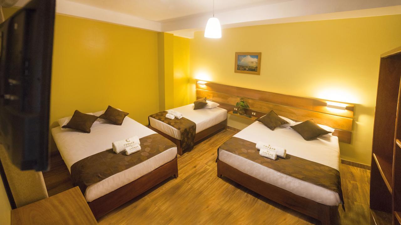 Hotel Copasu 3*