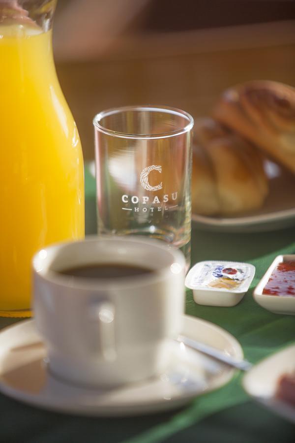 Hotel Copasu 3*