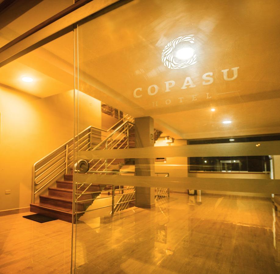 Hotel Copasu 3*