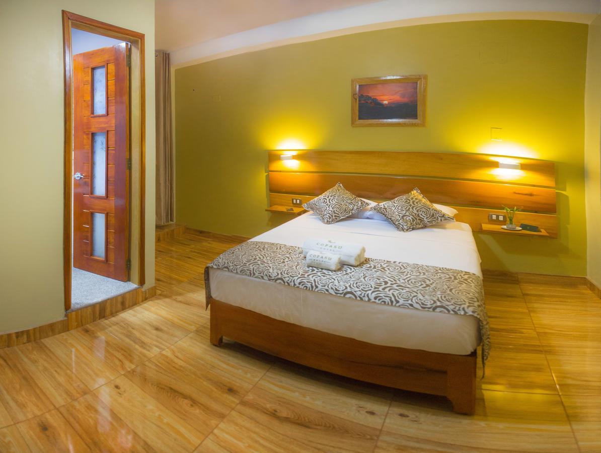 Hotel Copasu 3*