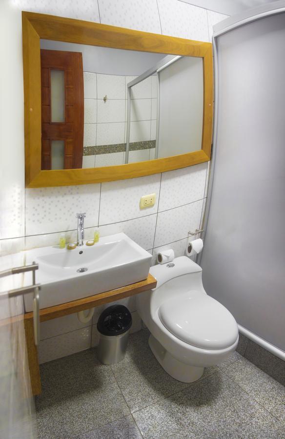Hotel Copasu 3*
