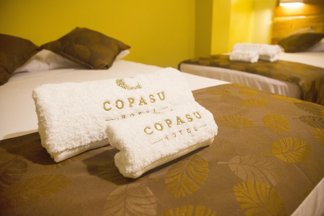 Copasu Hotel 3*